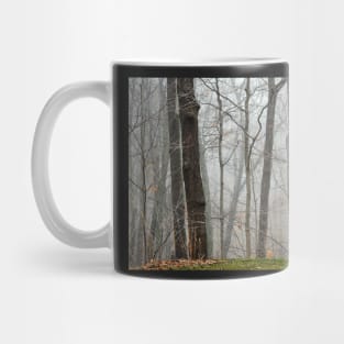 Fog beyond the grassy knoll Mug